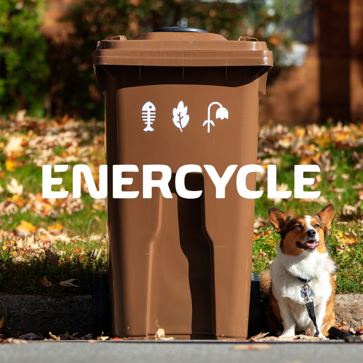 Collecte des bacs bruns - 2 semaines